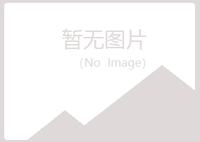 大新县倾城造纸有限公司